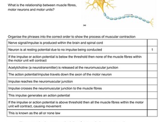 Nervous stimulation of a motor unit