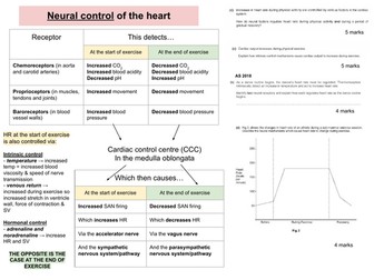 Neural control of the heart KS5 PE