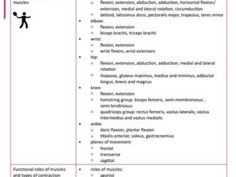 OCR A-Level PE- Anatomy Physiology