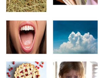 Phase 5 Matching Pictures to Words Game