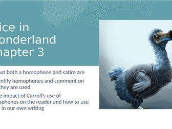 Alice in Wonderland Ch 3 Homophones