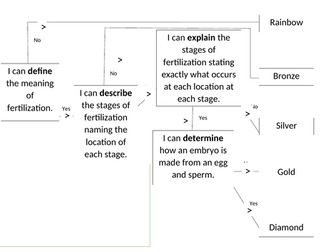 Fertilisation lesson PPT and Worksheets (Reproduction topic)