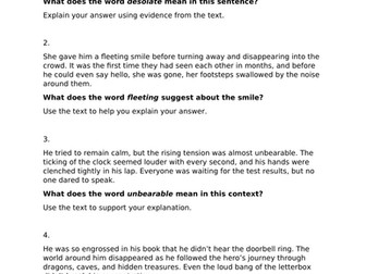 KS2 SATs style Reading Questions