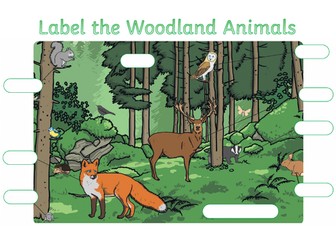 Woodland Animals