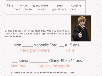 French Harry Potter Family Resources