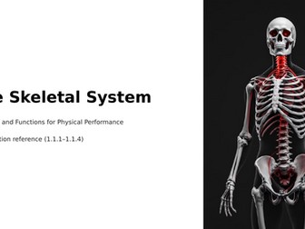 GCSE PE - The Skeletal System