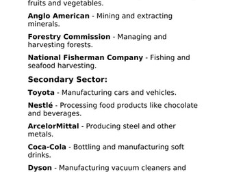 IGCSE Business Studies - Classification of Businesses (Chapter 2)