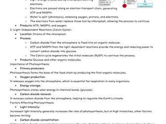 1 page summary of Photosynthesis at A Level