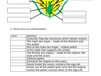 Plant reproduction (Reproduction topic)