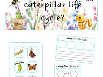 Minibeasts - Caterpillar life cycle