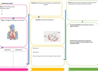 Respiratory System Revision worksheet.