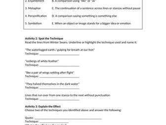 Winter Swans by Owen Sheers Worksheet
