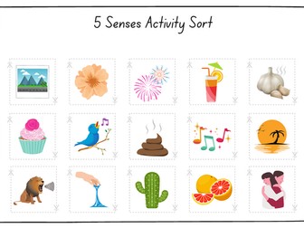 5 Senses Sorting activity