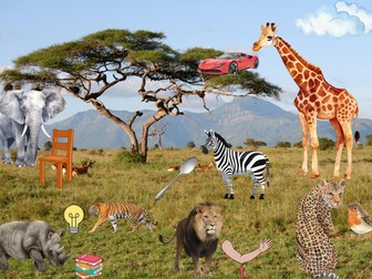 Animal in the grassland  I can see