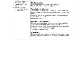 Year 5 Outdoor Learning