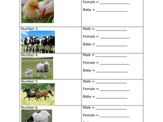 KS1/LKS2 Outdoor Learning - Farms