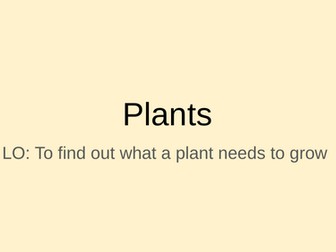 What does a plant need to grow?