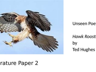 Unseen Poetry Practice - Ted Hughes 'Hawk Roosting.'