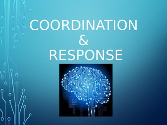 A-Level Biology Coordination and Response Introductory Game