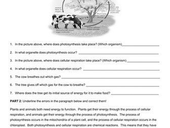 HONORS BIOLOGY Matter and Energy Test Review