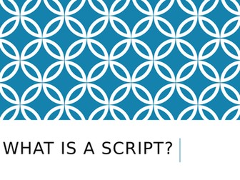 What is a script?
