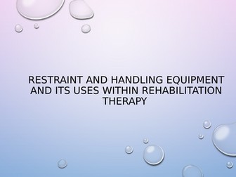 Restraint and handling equipment and its uses within rehabilitation therapy