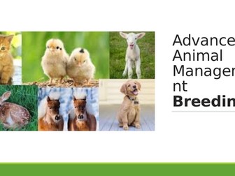 Animal breeding