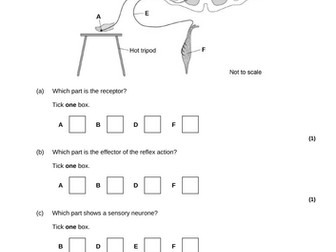 Biology paper 2 Revision PowerPoint