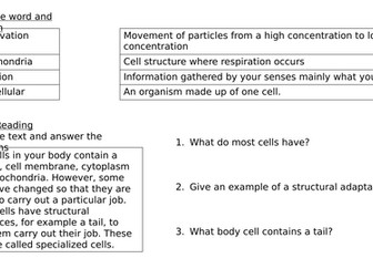 Year 7 Unit 9 Ecosystems