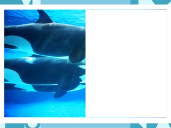 Under the sea finish the drawing