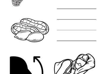 I Spy a... SATPIN - Initial Sound CVC Words