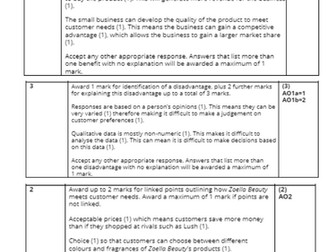 Edexcel 9-1 GCSE Business Theme 1.2 Topic Test