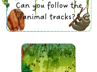 Jungle Animals - Animal tracks