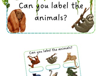Jungle Animals - Label animals