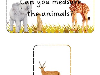 Savannah Animals - Measure the animals