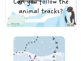 Arctic Animals - Animal tracks