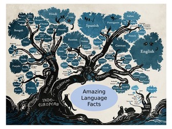 Language Facts - display