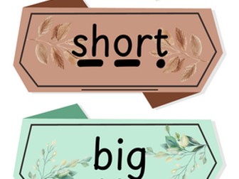 Simple Adjective Labels (w/sound buttons)