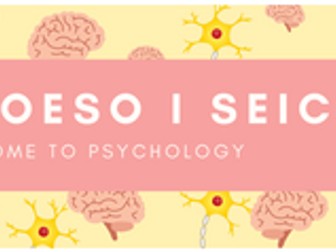 Psychology banner English and Welsh Cymraeg seicoleg