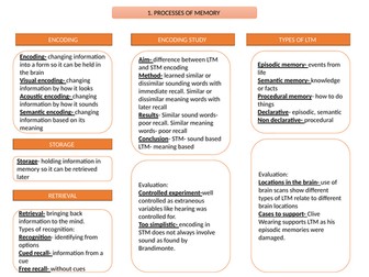 GCSE Psychology Memory revision sheets