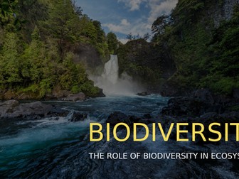Importance of Biodiversity