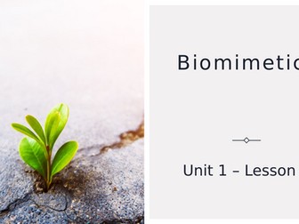 Environmental science lesson 6 Biomimicry