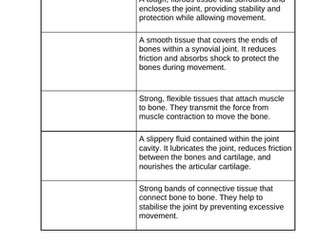 OCR GCSE PE - 1.1.a The structure and function of the skeletal system - Resources