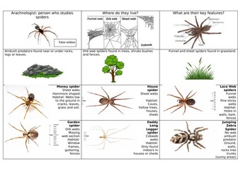Mini-beast information sheets and spotters