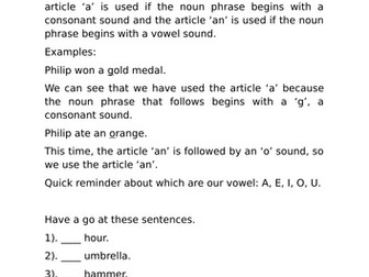 'A' or 'An' worksheet