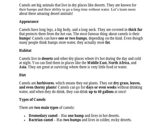 KS2 Non-Fiction Reading Comprehension Pack