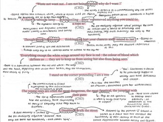 The Handmaids Tale Quotes + Analysis