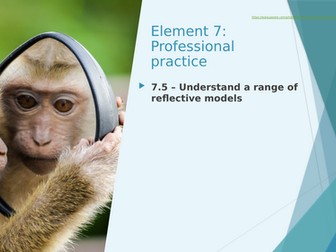 T Level Education and Childcare Element 7 Professional Practice  (Teaching from 2025)