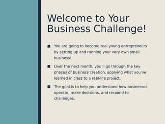 IGCSE Business Project Instructions