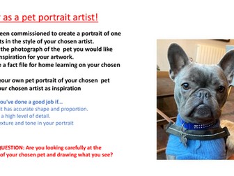 Pet Portrait Project